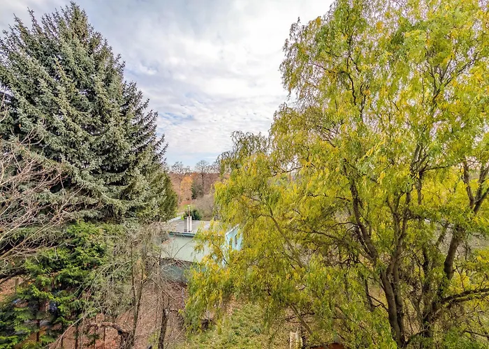 Krzywoustego Comfort By Bookinghost Apartamento