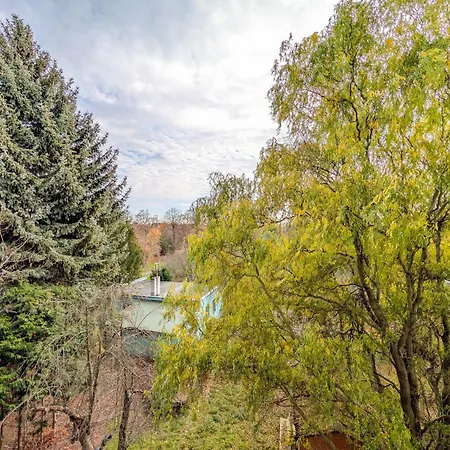 Krzywoustego Comfort By Bookinghost Appartement